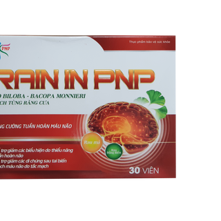 Viên Uống Tuần Hoàn Não BRAIN IN PNP