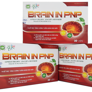 Viên Uống Tuần Hoàn Não BRAIN IN PNP