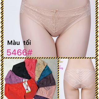 COMBO 10 QUẦN GẤM PHỐI REN 5466 giá sỉ