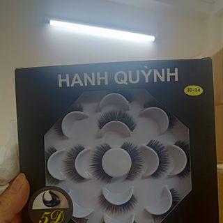 Mi chồn 7 cặp