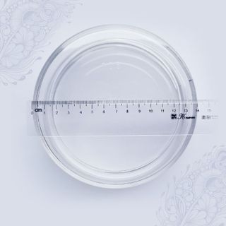Hộp nhựa tròn trong suốt 500g
