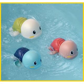 Rùa Cót Tập Bơi