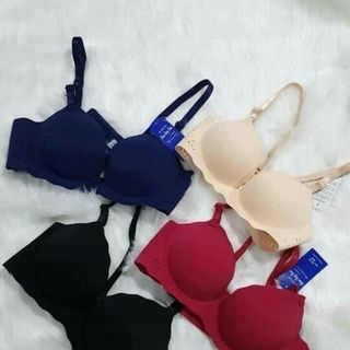 Áo su non 1960 về tiếp