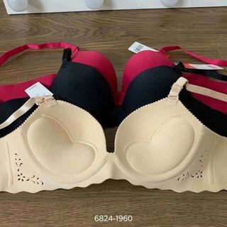 Áo su non 1960 về tiếp