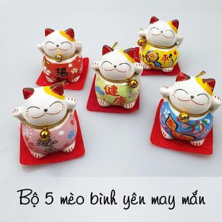 BỘ 5 MÈO BÌNH YÊN MAY MẮN-fghfdgh giá sỉ