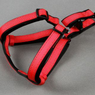 Dây Dắt Chó Husky Chiều Dài Dây Lên Tới 1m5