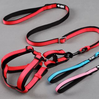 Dây Dắt Chó Husky Chiều Dài Dây Lên Tới 1m5 giá sỉ