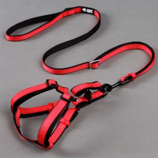 Dây Dắt Chó Husky Chiều Dài Dây Lên Tới 1m5