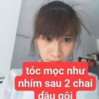 Dầu gội Thảo dược Thanh Mộc Hương
