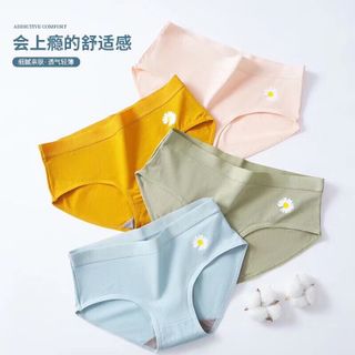 Hộp 4 quần cotton hoa cúc giá sỉ