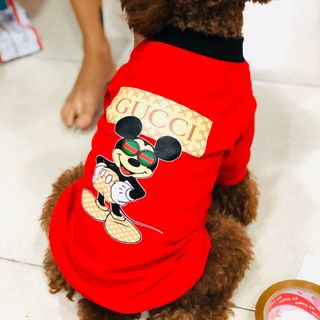 ÁO CHO CHÓ POODLE, CORGI, PHỐC SÓC HÌNH DỄ THƯƠNG