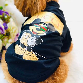ÁO CHO CHÓ POODLE, CORGI, PHỐC SÓC HÌNH DỄ THƯƠNG