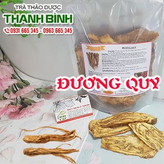 Đương Quy giá sỉ