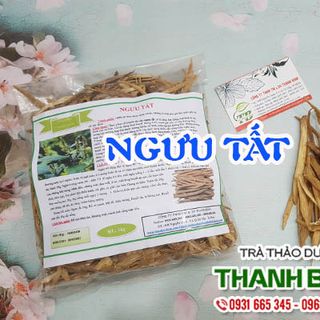 Ngưu Tất giá sỉ