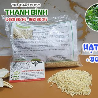 Ý Dĩ (Bo Bo) giá sỉ