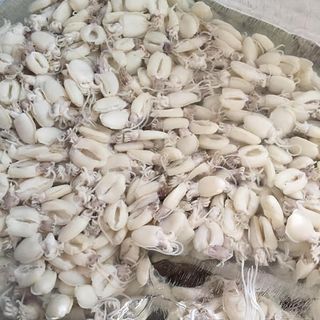 Nhà em có mực nang sữa cho cả nhà ạ, mực được làm sạch, cấp đông nên luôn đảm bảo tiêu chí TƯƠI - NGON ạ.