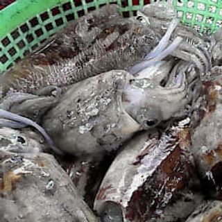 Nhà em có mực nang sữa cho cả nhà ạ, mực được làm sạch, cấp đông nên luôn đảm bảo tiêu chí TƯƠI - NGON ạ.