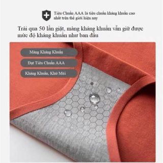 Quần Lót Nữ Cotton kháng khuẩn siêu đẹp, Siêu Mát - Aloha24h