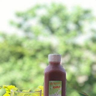 Sữa Gạo Lứt OGANI