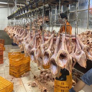 Khô gà lá chanh thơm ngon _ hàng loại đặc biệt