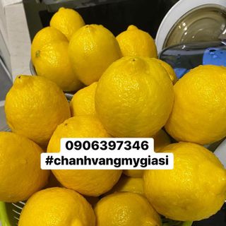 chanh vàng mỹ
