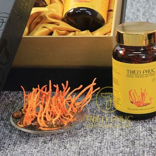 Đông Trùng Hạ Thảo Nguyên Con - Thể Khô (Hộp 3 lọ)