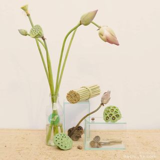 Ống hút cỏ bàng khô - Grass Straw - Huỳnh Lâm
