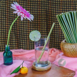 Ống hút cỏ bàng khô - Grass Straw - Huỳnh Lâm