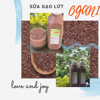 Sữa Gạo Lứt OGANI