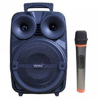 LOA KÉO MINI TENSHENG A8-10 giá sỉ