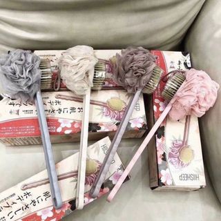 CÂY CỌ LƯNG NHẬT CÓ HỘP