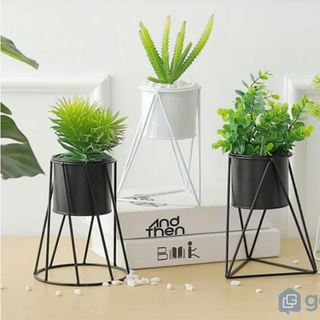 Chậu hoa để bàn trang trí không gian sống, văn phòng GHS-6501