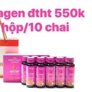 Đông trùng hạ thảo Hector Collagen