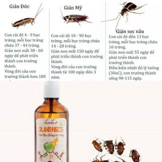 Tinh dầu chống côn trùng Lam Hà