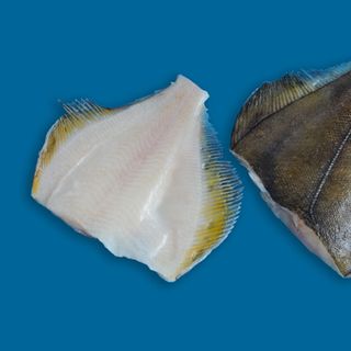 CÁ BƠN VÂY VÀNG/ YELLOWFIN SOLE HG