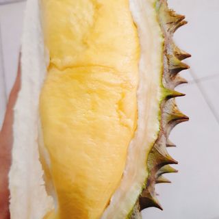 sầu riêng ĐẠ HUOAI RI6