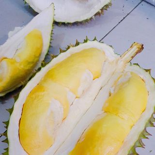 sầu riêng ĐẠ HUOAI RI6