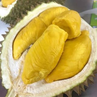 sầu riêng ĐẠ HUOAI RI6