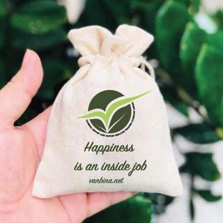 Túi thơm hạt Cà phê tự nhiên Vanbina (100gr) khử mùi ÔTÔ
