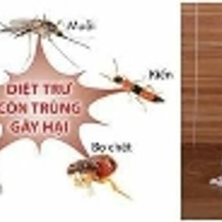 Tinh dầu diệt côn trùng