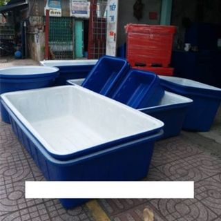 Thùng nhựa 2 lớp nuôi cá Lhe Ngọc