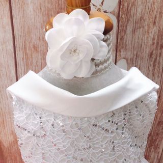 Đầm Công Chúa Misu MSN 149 size lớn