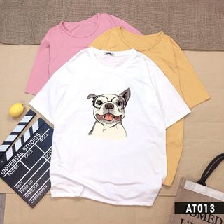 CHUYÊN ÁO THUN HANG ĐẸP GIÁ RẺ TỪ 2X