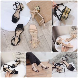 Giay sandal lưới ss
