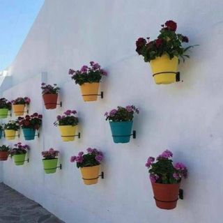 Vòng sắt sơn tĩnh điện treo chậu cây 12 cm