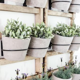 Vòng sắt sơn tĩnh điện treo chậu cây 12 cm