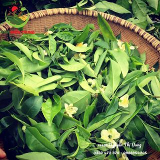 Túi lọc Trầu không - Trà xanh - Bạc hà Xông phụ khoa