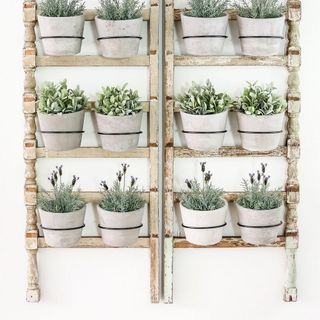 Vòng sắt sơn tĩnh điện treo chậu cây 8cm
