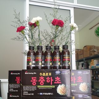 Nước sâm chai đông , đông trùng hàn quốc