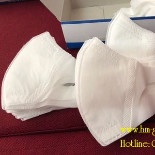 Khẩu trang 3D tulips Amsterdam Smart Nhật Bản